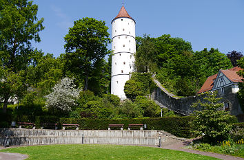 Weißer Turm in Biberach