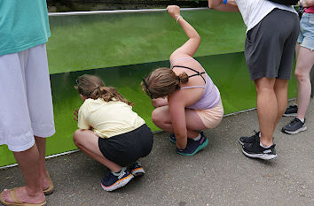 Kinder beobachten im Berliner Zoo die Robben