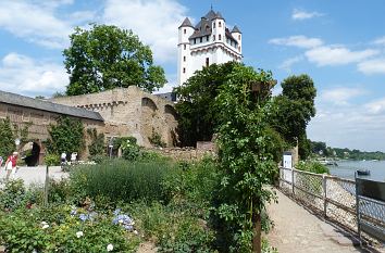 Burg Eltville an der Rheinpromenade