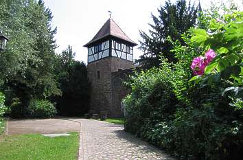 Stadtgarten in Michelstadt