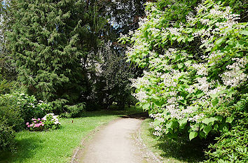 Arboretum des Botanischen Gartens Greifswald