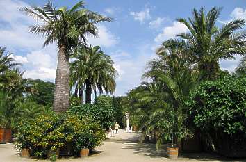 Palmengarten Kurpark Bad Pyrmont