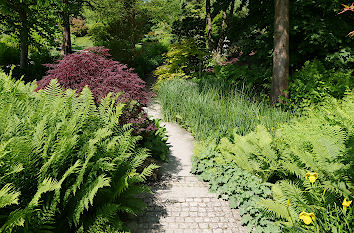 Gartenweg im Park der Gärten in Bad Zwischenahn
