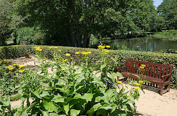 Blumen im Park Schloss Moyland