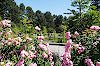 Rombergpark und Botanischer Garten Dortmund