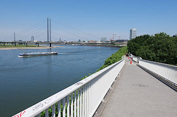 Blick auf Rhein und Rheinkniebrücke