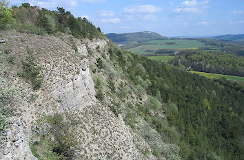 Kalkfelsen am Großen Hörselberg
