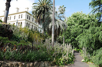 Treasury Gardens in Melbourne