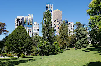 Treasury Gardens in Melbourne