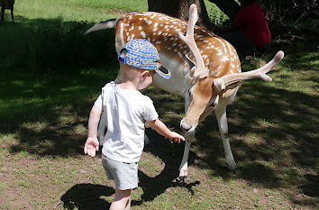 Tierparks