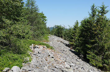 Keltischer Ringwall im Taunus