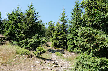 Wanderweg am Altkönig im Taunus