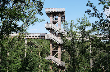 Aussichtsturm am Baumwipfelweg Bad Camberg