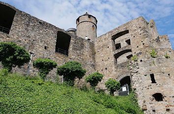 Ruine Burg Greifenstein