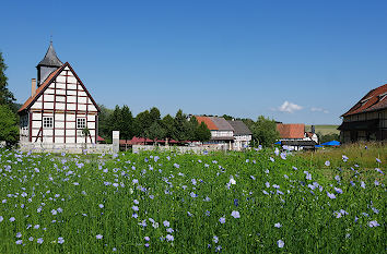 Blumenfeld im Dorfmuseum Hessenpark im Taunus