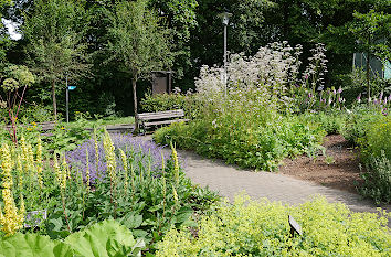 Kräutergarten im Kurpark Bad Camberg