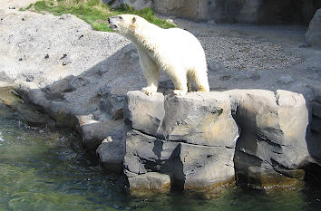 Erlebniszoo Hannover