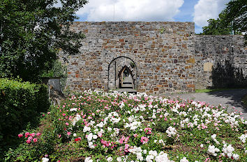 Schlossruine Arnsberg