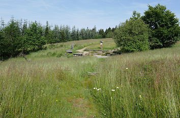 Wiesenlandschaft auf dem Kahlen Asten