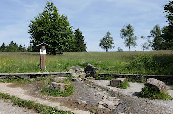 Quelle der Lenne auf dem Kahlen Asten