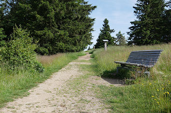 Rothaarsteig auf dem Kahlen Asten