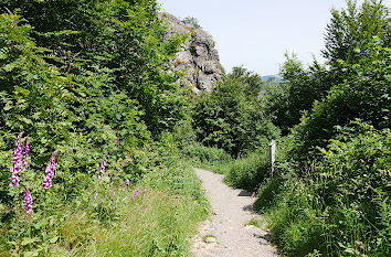 Bruchhauser Steine im Rothaargebirge