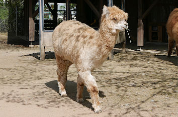 Tierparks in NRW