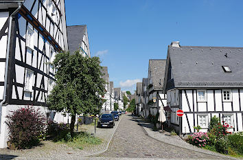 Freudenberg