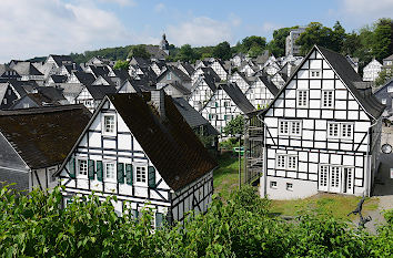 Freudenberg