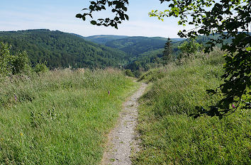 Rothaarsteig bei Bruchhausen