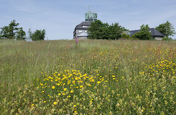 Rothaarsteig am Kahlen Asten