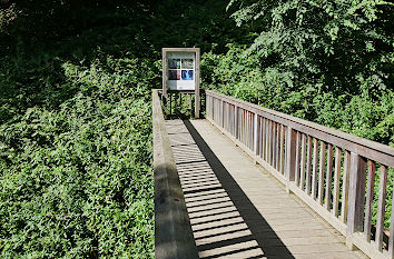 Steg am Wasserfall Plästerlegge