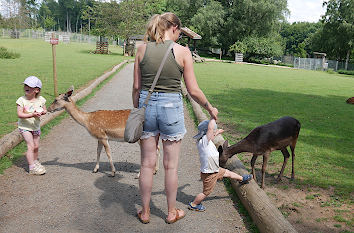 Besucher im Wildpark Bad Marienberg