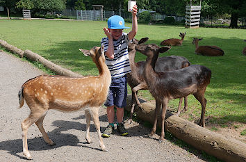 Tierparks und Zooparks