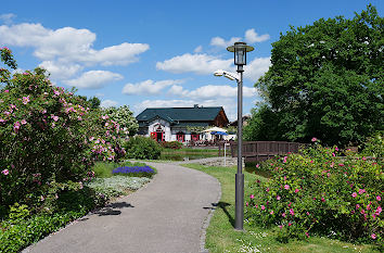 Rosengarten Bad Langensalza