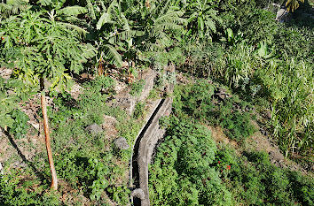 Levada auf Santo Antão